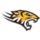 Towson Tigers