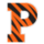 Princeton Tigers