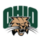 Ohio Bobcats