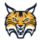 Quinnipiac Bobcats